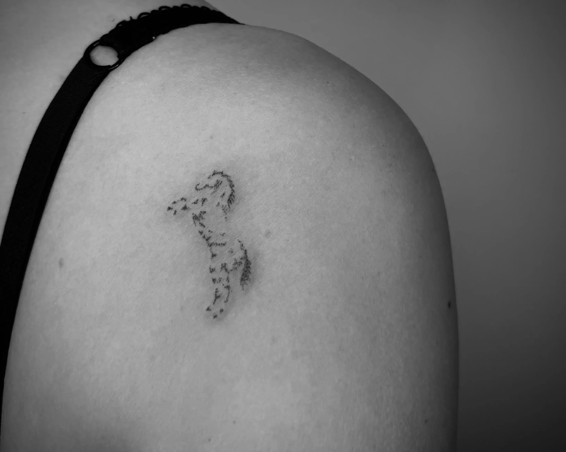 Feines Mini-Tattoo an der Schulter